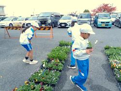 3年生花いっぱい運動の様子