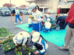 3年生花いっぱい運動の様子