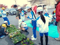 3年生花いっぱい運動の様子