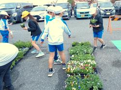 3年生花いっぱい運動の様子