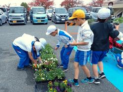 3年生花いっぱい運動の様子