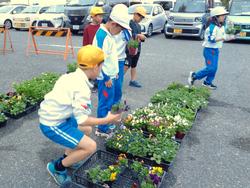 3年生花いっぱい運動の様子