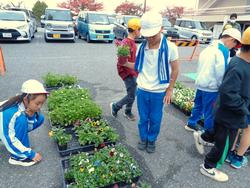 3年生花いっぱい運動の様子