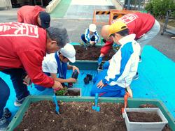 3年生花いっぱい運動の様子