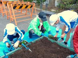 3年生花いっぱい運動の様子