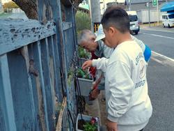 3年生花いっぱい運動