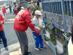 3年生花いっぱい運動