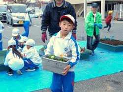 3年生花いっぱい運動