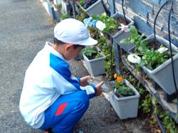 3年生花いっぱい運動