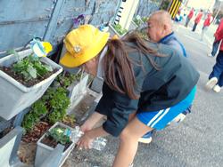 3年生花いっぱい運動