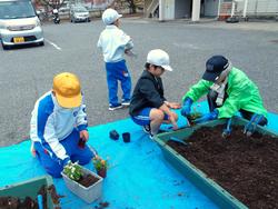 3年生花いっぱい運動