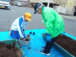 3年生花いっぱい運動