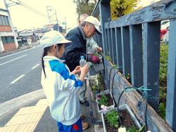 3年生花いっぱい運動