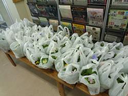 3年生花いっぱい運動