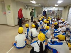 3年生花いっぱい運動