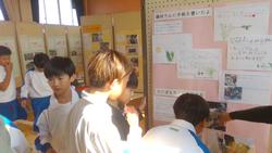 5年生「お米の博物館」へ