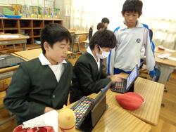 第7回委員会活動の様子