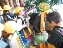 3年生校外活動の様子