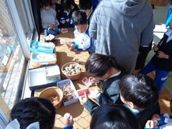 1年生糸車をまわしてみたよ