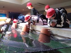 6年生修学旅行宮島水族館での様子