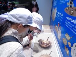 6年生修学旅行宮島水族館での様子