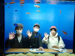 6年生修学旅行宮島水族館での様子