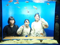 6年生修学旅行宮島水族館での様子