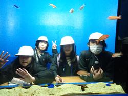 6年生修学旅行宮島水族館での様子