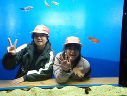 6年生修学旅行宮島水族館での様子