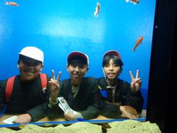 6年生修学旅行宮島水族館での様子