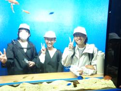 6年生修学旅行宮島水族館での様子