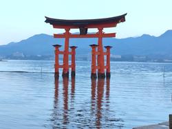 6年生修学旅行厳島神社参拝の様子