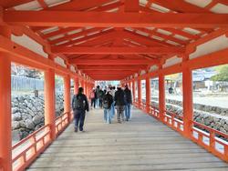 6年生修学旅行厳島神社参拝の様子