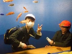 6年生修学旅行宮島水族館での様子