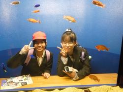 6年生修学旅行宮島水族館での様子