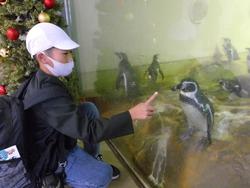 6年生修学旅行宮島水族館での様子