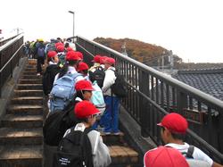 3年生環境体験学習の様子