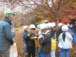 3年生環境体験学習の様子