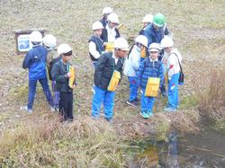 3年生環境体験学習の様子