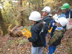3年生環境体験学習の様子