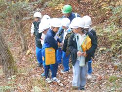 3年生環境体験学習の様子