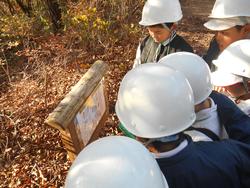 3年生環境体験学習の様子