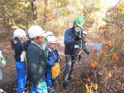 3年生環境体験学習の様子