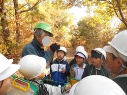 3年生環境体験学習の様子