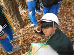 3年生環境体験学習の様子