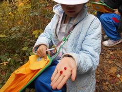 3年生環境体験学習の様子
