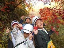 3年生環境体験学習の様子