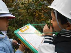 3年生環境体験学習の様子