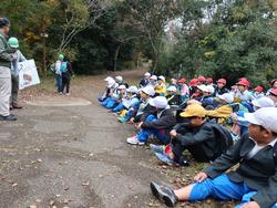 3年生環境体験学習の様子