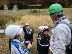 3年生環境体験学習の様子